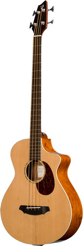 Breedlove Passport Plus B350/CBe4