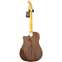 Fender Sonoran SCE Thinline Natural Back View