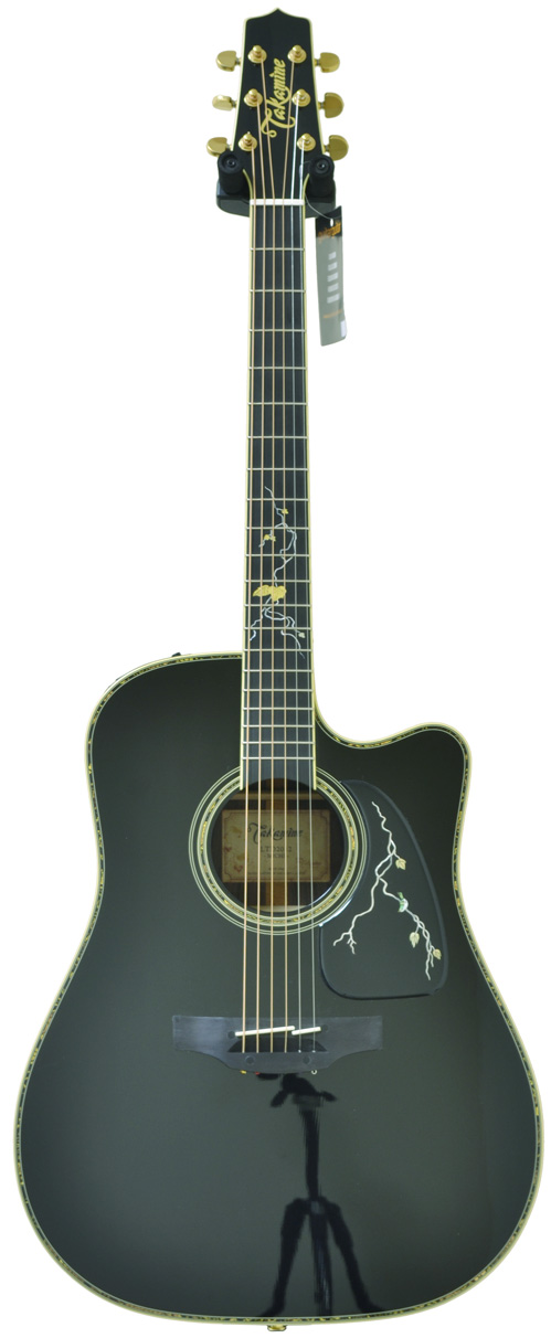 Takamine LTD 2012 MICHI