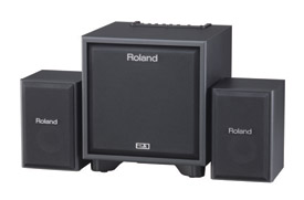 Roland CM-110 2.1 Monitoring System
