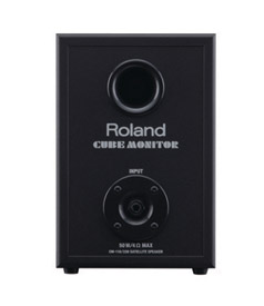 Roland CM-110 2.1 Monitoring System