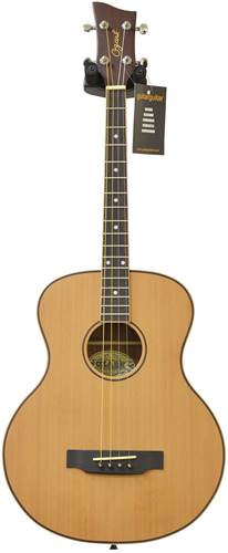 Ozark 3372 Tenor Guitar