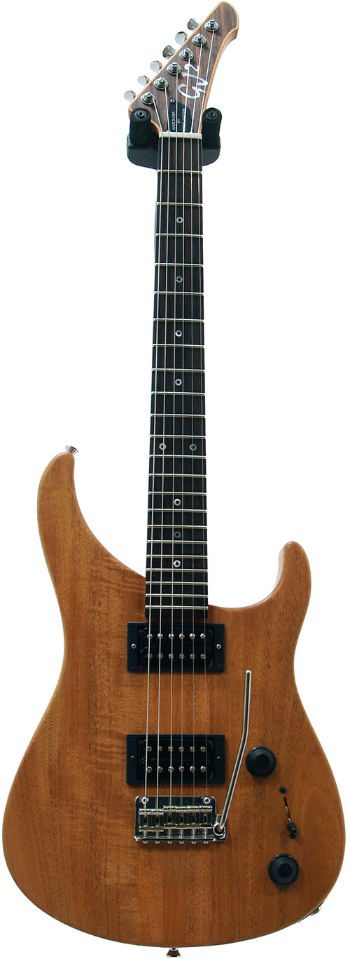 GJ2 by Grover Jackson Arete 4 Star Natural Non Locking Tremelo #1441