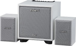 Roland CM-110-WH Monitoring System