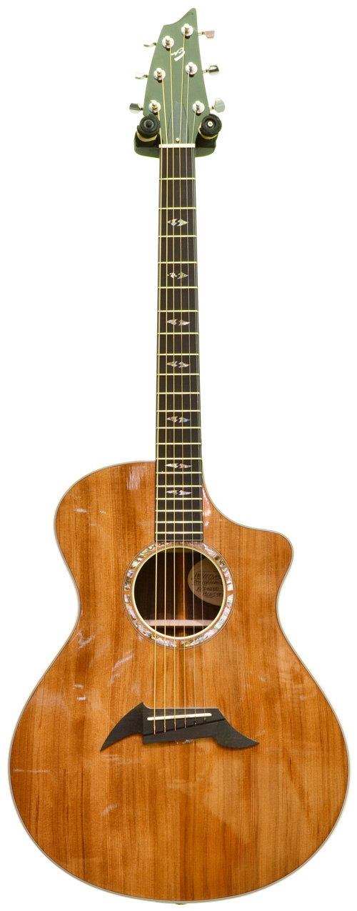 Breedlove American Focus SE C25