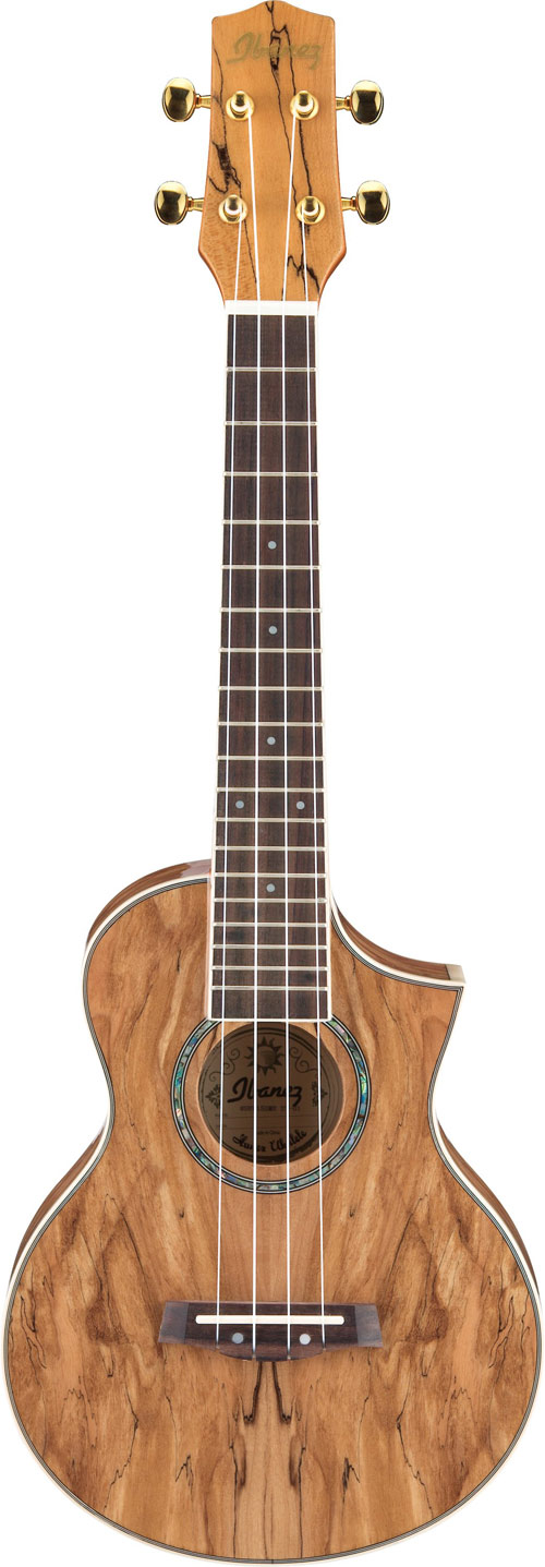 Ibanez UEW20SM Ukulele Concert with Gig Bag