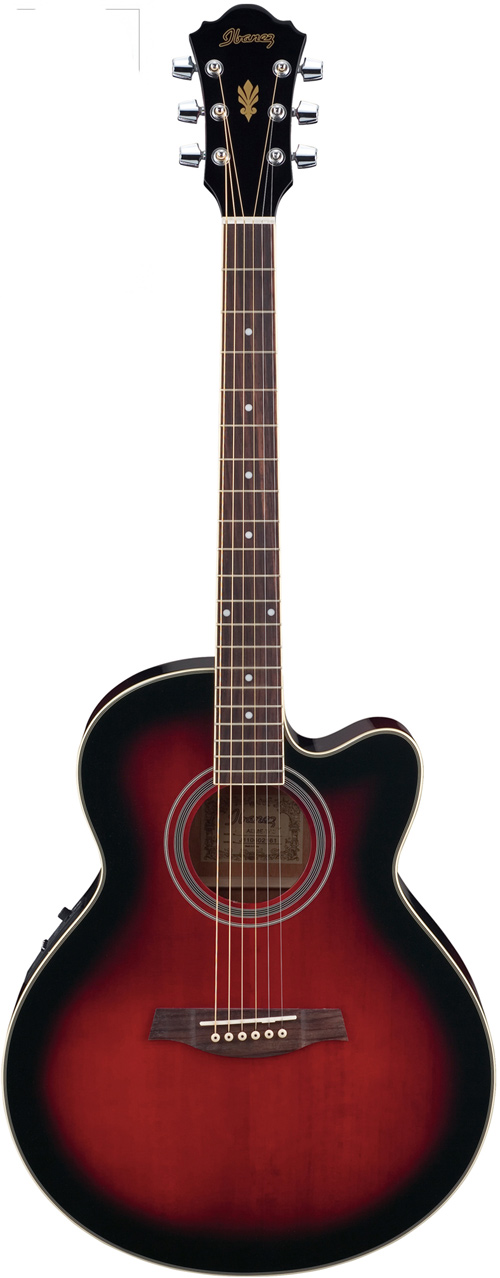 Ibanez AEL8E-TRS