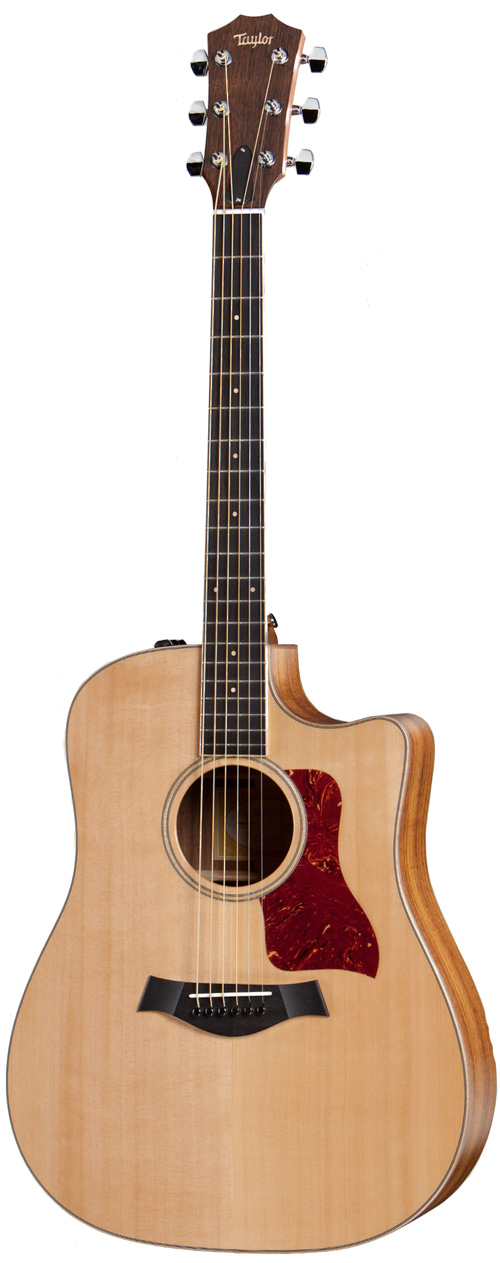 Taylor 410ce-FLTD Blackwood (Fall 2012)