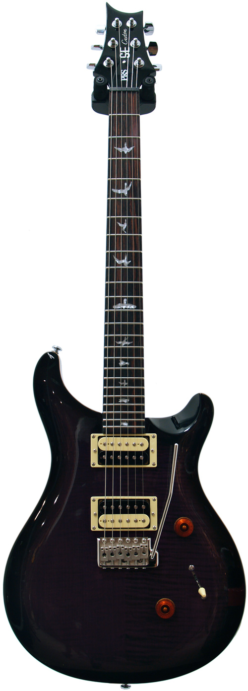 PRS SE Custom 24 Purple Burst