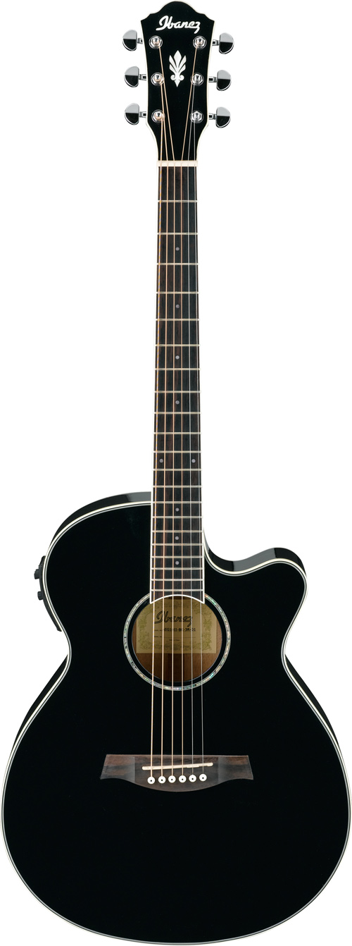 Ibanez AEG10II Black