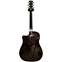 Fender Hot Rod T-Bucket 300-CE 3TSB Flame Maple Back View