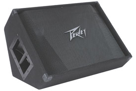 Peavey PV 15M