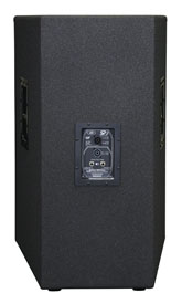 Peavey SP 2BX