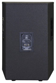 Peavey SP 5BX