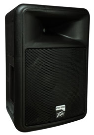 Peavey PR 12D