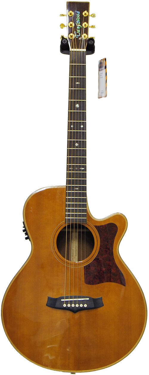 Tanglewood TW45-H (Pre-Owned)
