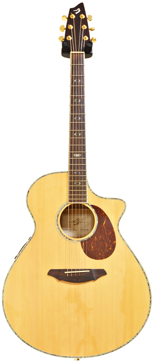 breedlove aj250