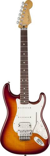Fender Standard Stratocaster Floyd Rose Plus Top RW Tobacco Sunburst