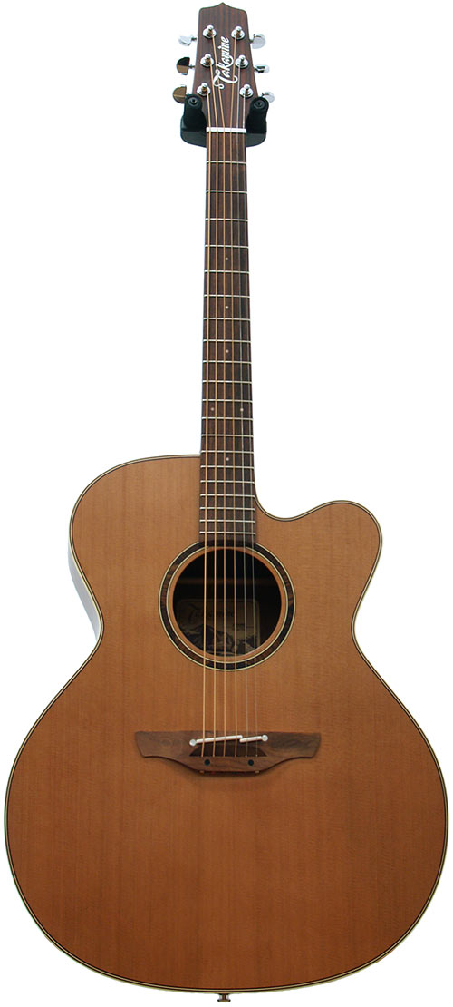 Takamine ETN20C Electro Acoustic (Inc Case) - Ex Demo