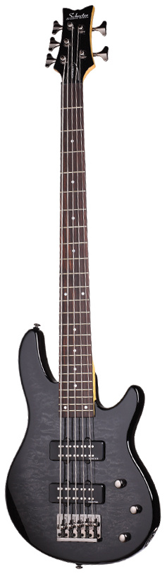 Schecter Raiden Special 5 See-Thru Blue Black