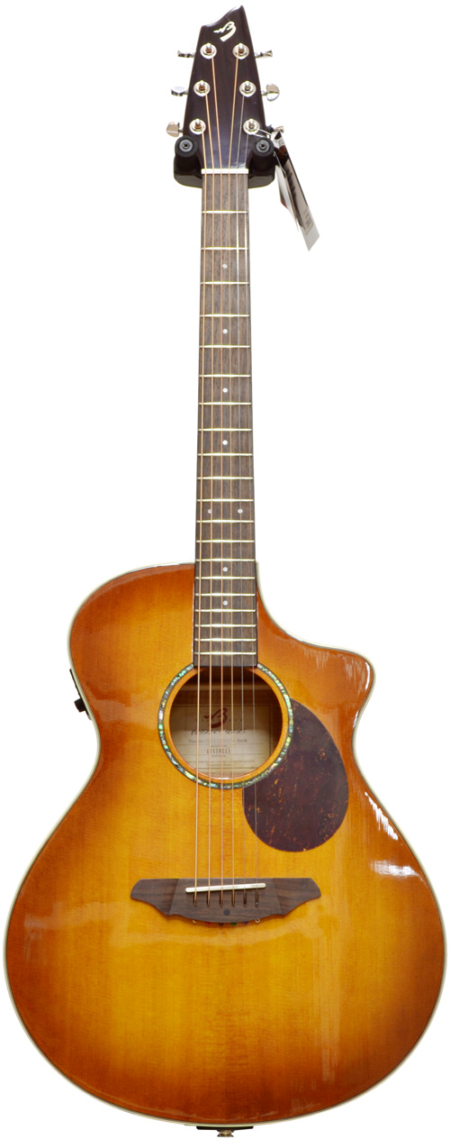 Breedlove passport online plus concert