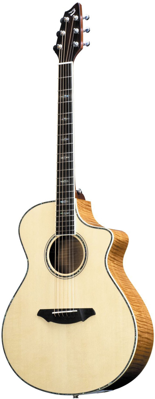 Breedlove Stage C250/EF