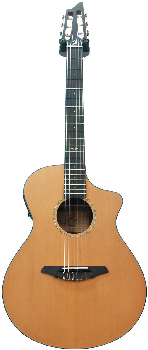 Breedlove Studio N250/CR Nylon (2013)