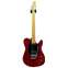 Buzz Feiten Guitars Classic Pro Prototype Trans Red Front View