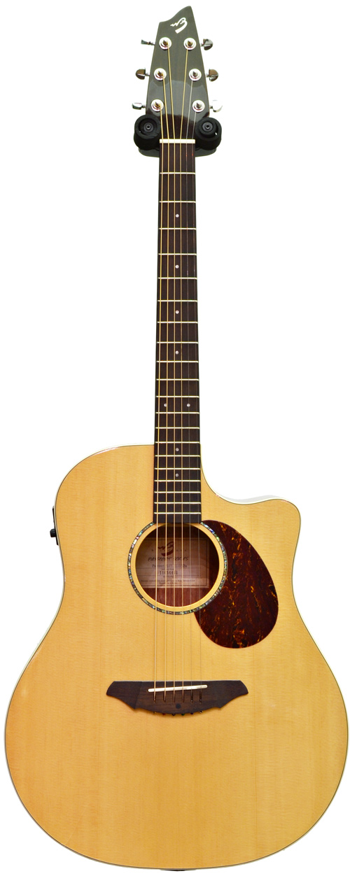 Breedlove Passport Plus D250/SB (Ex-Demo)