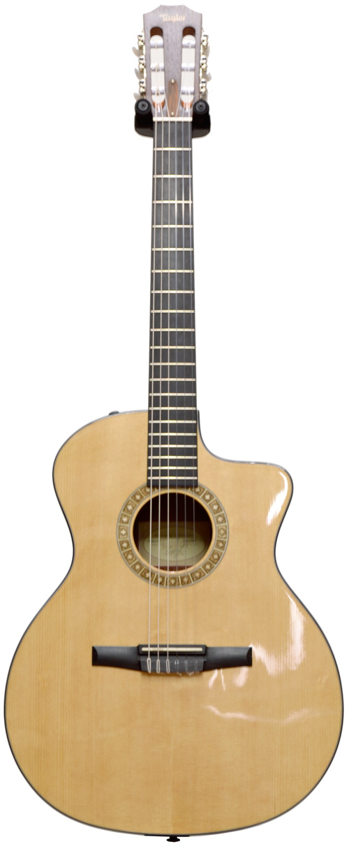 Taylor NS24e (Ex-Display)