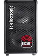 TC Electronic BG250 208 Bass Combo