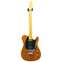 Buzz Feiten Guitars Amber Custom Order (Pre-Owned) Front View