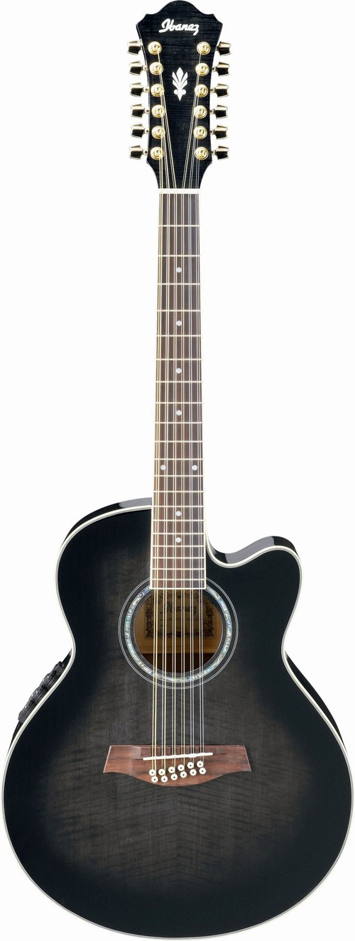 Ibanez AEL2012E-TKS Transparent Black Sunburst