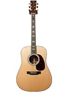 Martin D-45