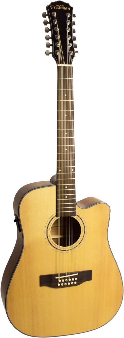 Freshman FA1DCE 12 String