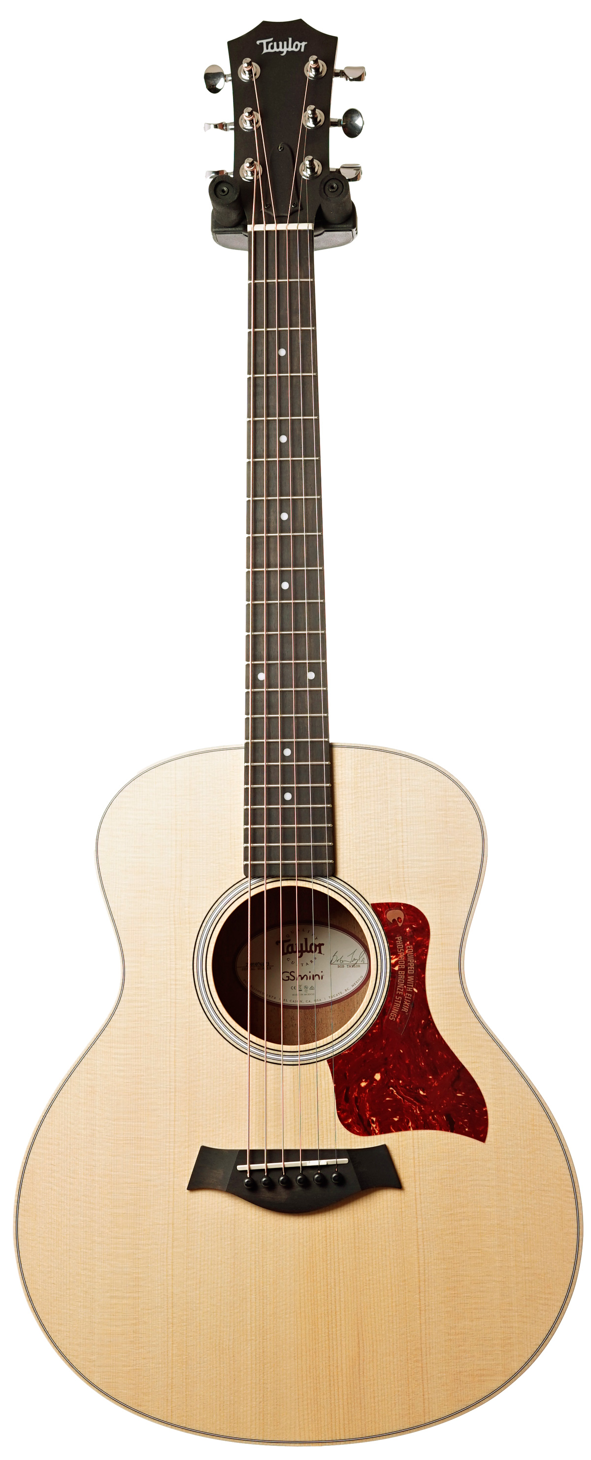 Taylor GS Mini