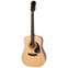 Epiphone DR-100 Acoustic Natural Front View