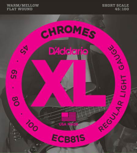 D'Addario ECB81S XL Chromes Flatwound Light Short Scale Bass 45-100