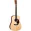 Martin DX1AE Natural Fishman Sonitone System Front View