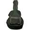 Levy's CPPL20B Junior Gig Bag Front View