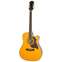 Epiphone FT-350SCE (Min-ETune Equipped) Antique Natural Front View
