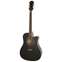 Epiphone FT-350SCE (Min-ETune Equipped) Ebony Front View