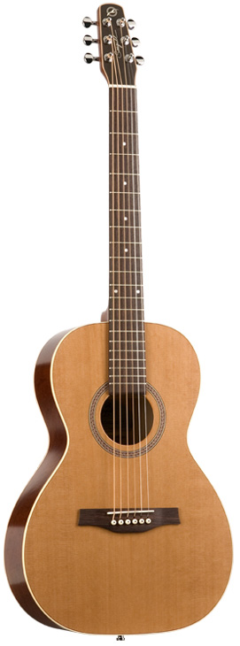 Seagull Coastline Grand