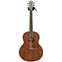 Lowden F35X Madagascar Rosewood/Redwood #18682 Front View