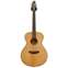Breedlove Discovery Concert DICO Front View