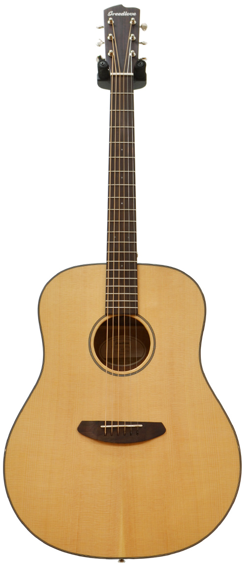 Breedlove Discovery Dreadnought DIDR