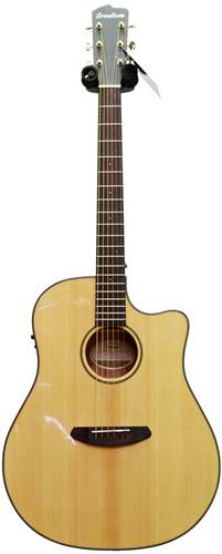 Breedlove Discovery Plus Dreadnought