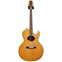 Washburn Tanglewood 1980 Model (Pre-Owned) Front View