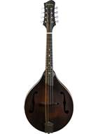 Eastman MD305