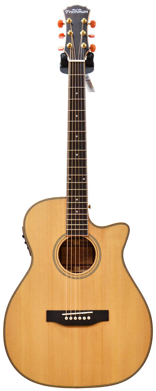Freshman FA300GAC With Case